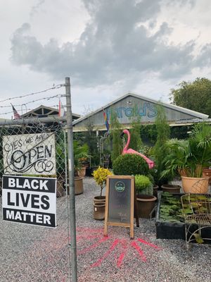 ハロルド屋内屋外植物ニューオーリンズラ