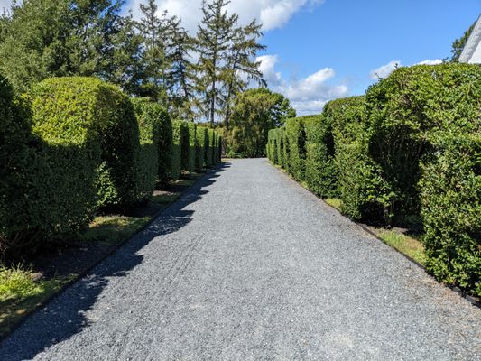 Green Animals Topiary Garden by null