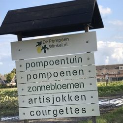 De Pompoenwinkel.nl