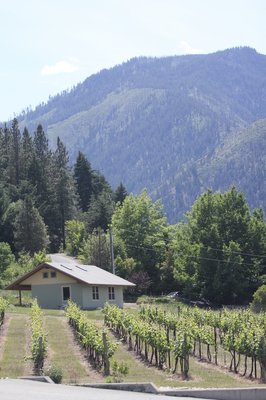 Usurious Wines by null