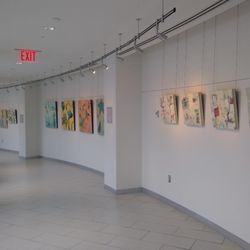 Edgewood Gallery - Install at local hospital hallway