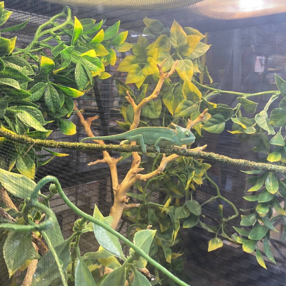 A To Z Pets - Pet Stores Near Me - Portland, Oregon