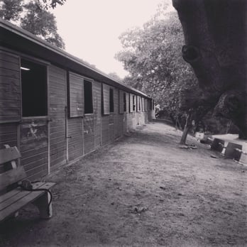 Oak Canyon Equestrian Center - Horseback Riding Near Me - Newhall, California