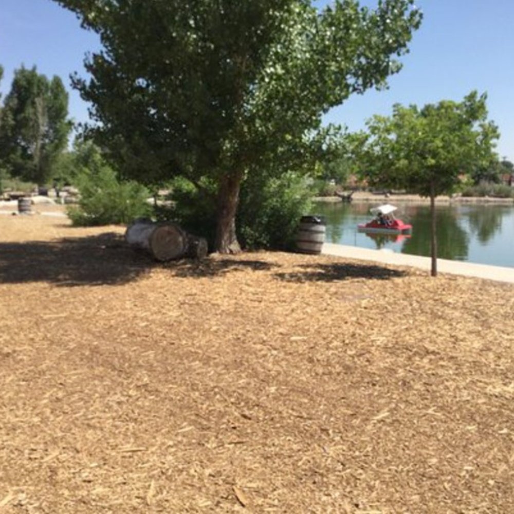 Tingley Beach - Beaches Near Me - Albuquerque, New Mexico Tingley Beach - Beaches Near Me - Albuquerque, New Mexico