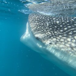 La Paz VIP Tours - 3rd trip