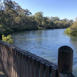 Tingalpa Creek Track - Boardwalk