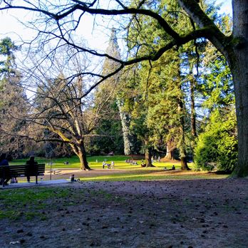 Laurelhurst Park - View of the dog area. - Parks Near Me - Portland, Oregon Laurelhurst Park - View of the dog area. - Parks Near Me - Portland, Oregon