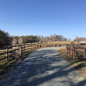 Divine Llama Vineyard - Wineries Near Me - East Bend, North Carolina