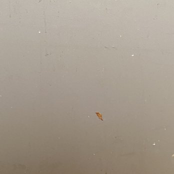 Bone & Broth - Month old stuck on food on wall. - Vietnamese Near Me - Ontario, California Bone & Broth - Month old stuck on food on wall. - Vietnamese Near Me - Ontario, California