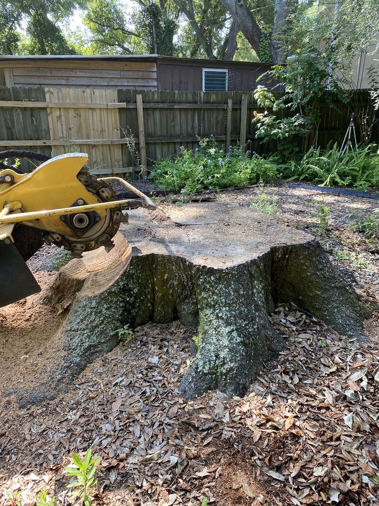 Elevate Outdoor Services - tree service in Tampa, FL