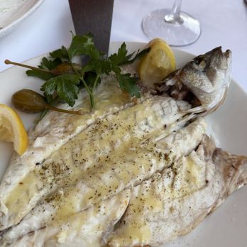 Avra Beverly Hills - Branzino - Greek Near Me - Beverly Hills, California Avra Beverly Hills - Branzino - Greek Near Me - Beverly Hills, California
