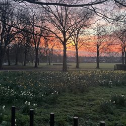 Queen's Park
