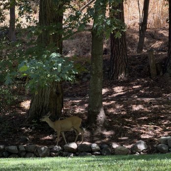 Lithia Park - Parks Near Me - Ashland, Oregon Lithia Park - Parks Near Me - Ashland, Oregon