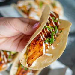 Willie's Restaurant and Bar - The NEW Fish Tacos. Summer '23!