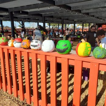 Dell'Osso Family Farm - Pumpkin painting - Pumpkin Patches Near Me - Lathrop, California Dell'Osso Family Farm - Pumpkin painting - Pumpkin Patches Near Me - Lathrop, California