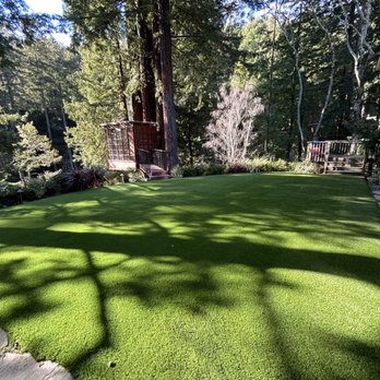 Better Than Real Artificial Grass - Artificial Turf Near Me - San Rafael, California