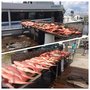Photo of Southern Pride Charters