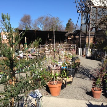 Berkeley Horticultural Nursery - Strolling in the nursery - Nurseries & Gardening Near Me - Berkeley, California