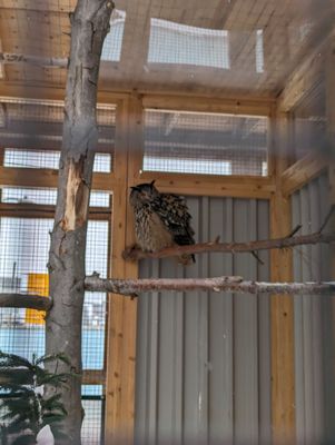 Canadian Museum of Nature / Musée canadien de la nature by null