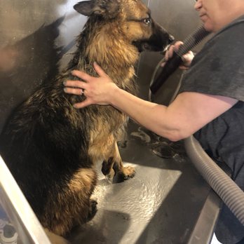 The Bark House U Do-It Dog Bath - Bath - Pet Groomers Near Me - Lafayette, Tennessee The Bark House U Do-It Dog Bath - Bath - Pet Groomers Near Me - Lafayette, Tennessee