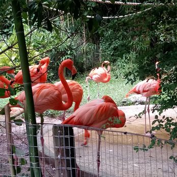Salisbury Zoological Park - Zoos Near Me - Salisbury, Maryland
