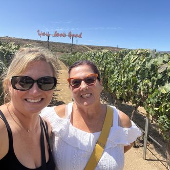 Vinicola Castillo Ferrer - Photo opp! - Wineries Near Me - Valle de Guadalupe, BCN Vinicola Castillo Ferrer - Photo opp! - Wineries Near Me - Valle de Guadalupe, BCN