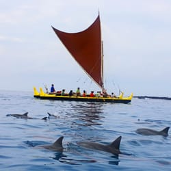 Nai'a (dolphins) on Wa'a Kini Kini