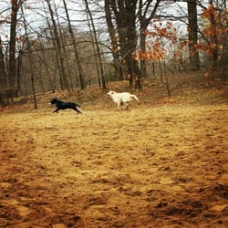 Soldan Dog Park
