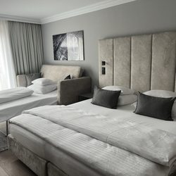 Hotel Edelweiss - King and sofa bed
