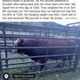 Photo of Halsey Meat Processing