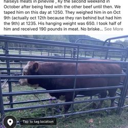 Halsey Meat Processing - Steak