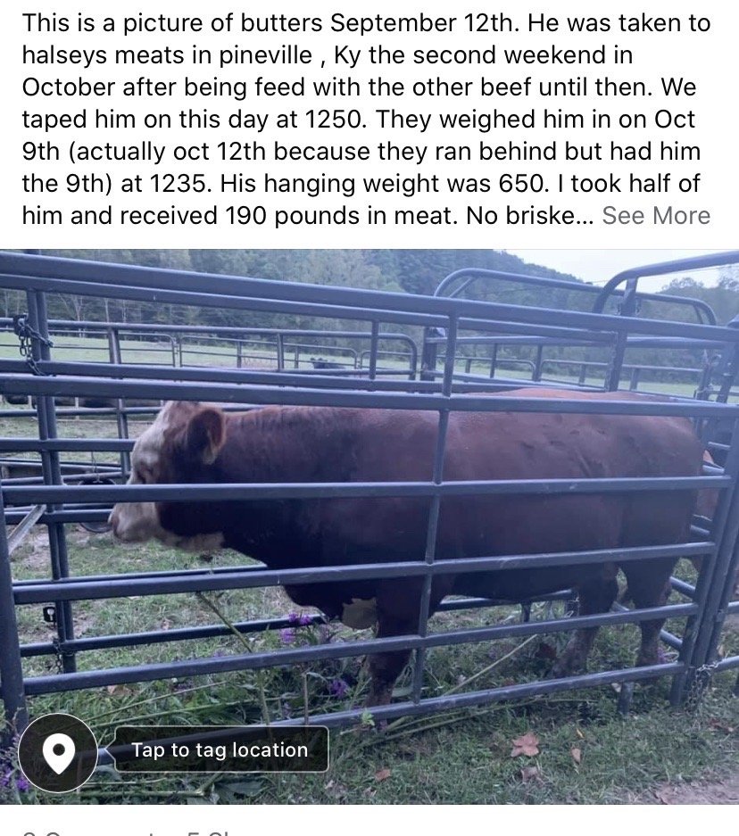 HALSEY MEAT PROCESSING Updated August 2024 67 Miller Ridge Rd, Pine