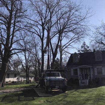 Vidito Tree Experts - Tree Services Near Me - Westmont, Illinois