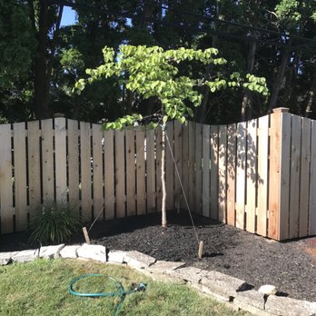 Estatescapes - How we properly stake a new tree. - Landscaping Near Me