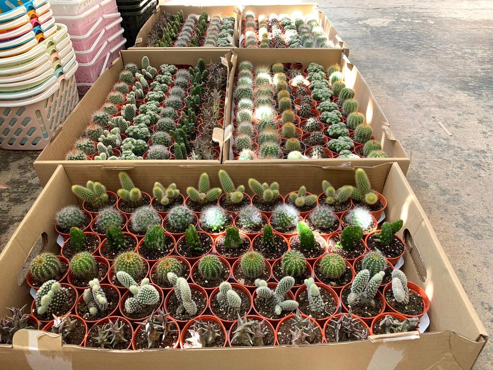 CHIN LING NURSERY Updated September 2024 16 Photos 10 Bedok South