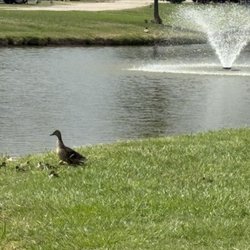 Woodland Lakes RV Park