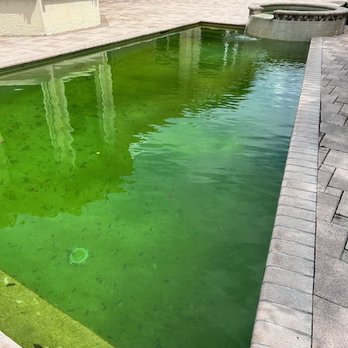 Prestige Pool Service & Repairs - Swimming Pools Near Me - Palm Beach Gardens, Florida Prestige Pool Service & Repairs - Swimming Pools Near Me - Palm Beach Gardens, Florida