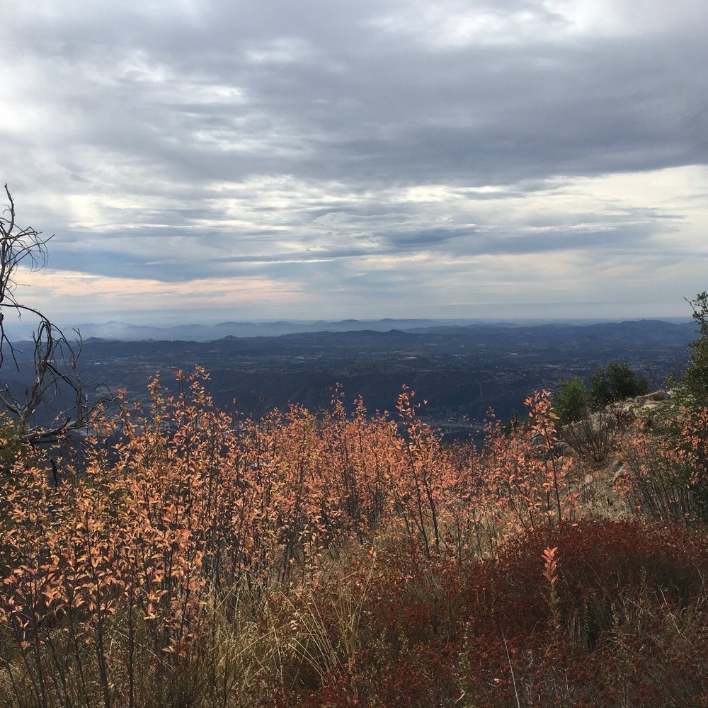 Palomar Mountain State Park - Parks Near Me - Palomar Mountain, California