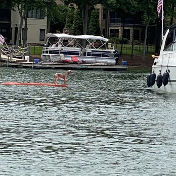 Stutts Marina - Check out the dog on the float. So sweet ... although he had enough - jumped off and swam back to the boat. - Boating Near Me - Mooresville, North Carolina