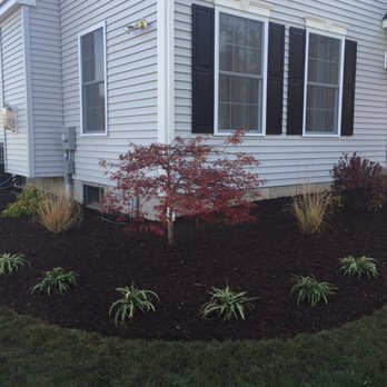 Pitch Pines Landscaping - Planting Installation - Landscaping Near Me - North Haven, Connecticut