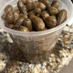 Cowgirl Kettlecorn and Lemonade - Boiled peanuts in Old Bay