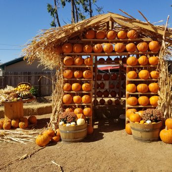 Sons Farm Fresh - Fruits & Veggies Near Me - Oakdale, California Sons Farm Fresh - Fruits & Veggies Near Me - Oakdale, California