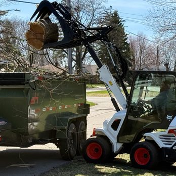 Warner's Pro Tree Service - Tree Services Near Me Warner's Pro Tree Service - Tree Services Near Me