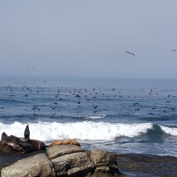 La Jolla Cove - Parks Near Me - La Jolla, California La Jolla Cove - Parks Near Me - La Jolla, California