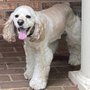 Photo of Walkertown Veterinary Hospital