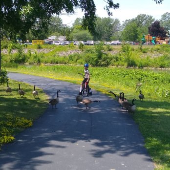 Ellicott Creek Trail way Park - Geese - Parks Near Me - Buffalo, New York Ellicott Creek Trail way Park - Geese - Parks Near Me - Buffalo, New York