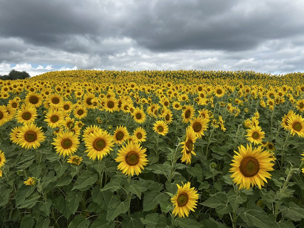 Reviews of COLBY FARM Updated September 2024 123 Photos & 44