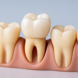 Today's Family Dental - Lutz, FL