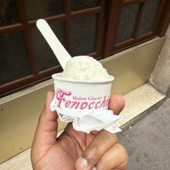 Fenocchio Glacier - Lemon sorbet - Ice Cream & Frozen Yogurt Near Me - Nice, 06