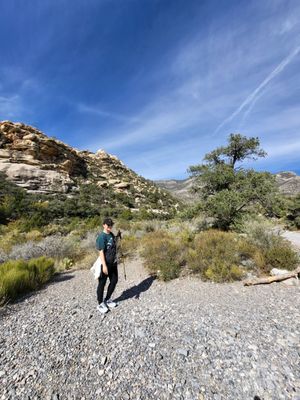Red Rock Canyon Visitor Center by null